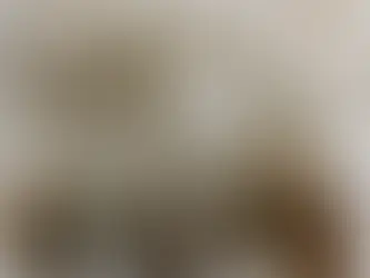 How to Incorporate Holistic Detox into Your Daily Routine