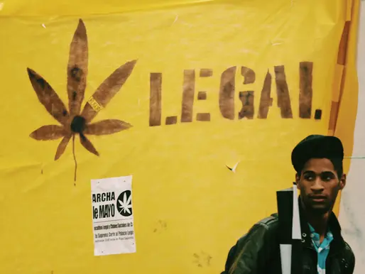 Unlocking the Secrets: How to Choose a Reliable Document Legalization Service