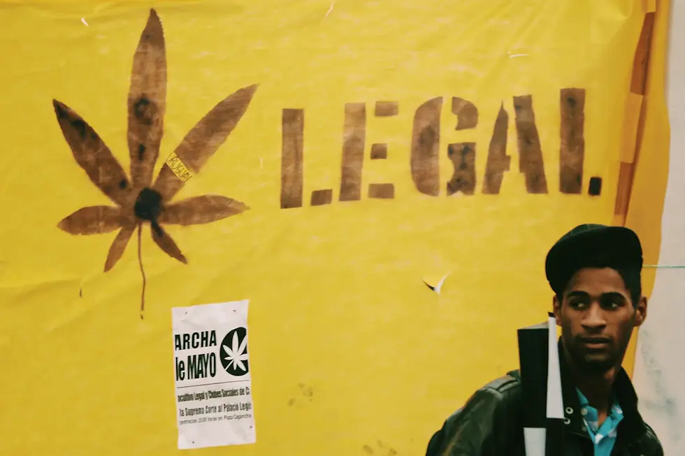 Unlocking the Secrets: How to Choose a Reliable Document Legalization Service