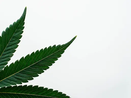 Unlocking the Timeline: How Long Does Document Legalization Take?