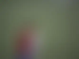 The Power of Soft Skills in Elevating Employee Development