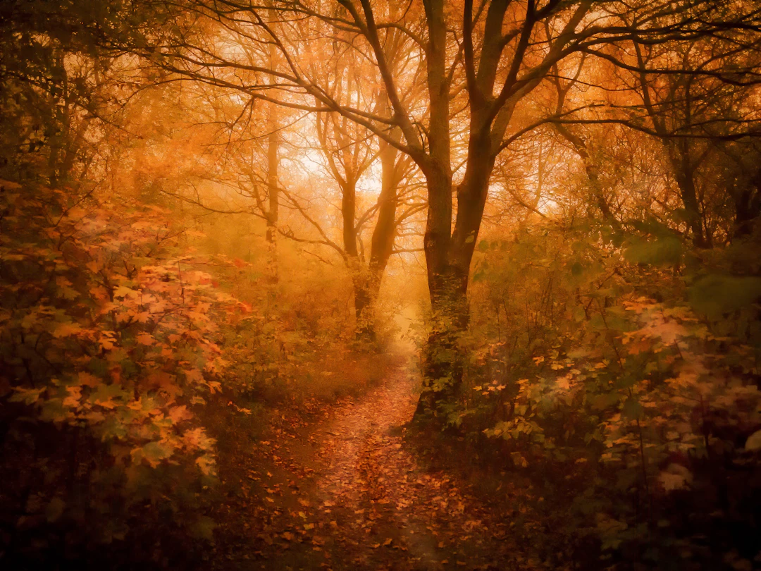 Seasonal Support: Embracing Change and Preparing for Hay Fever