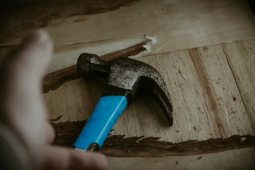 Crafting Custom Woodwork for Pet-Friendly Spaces