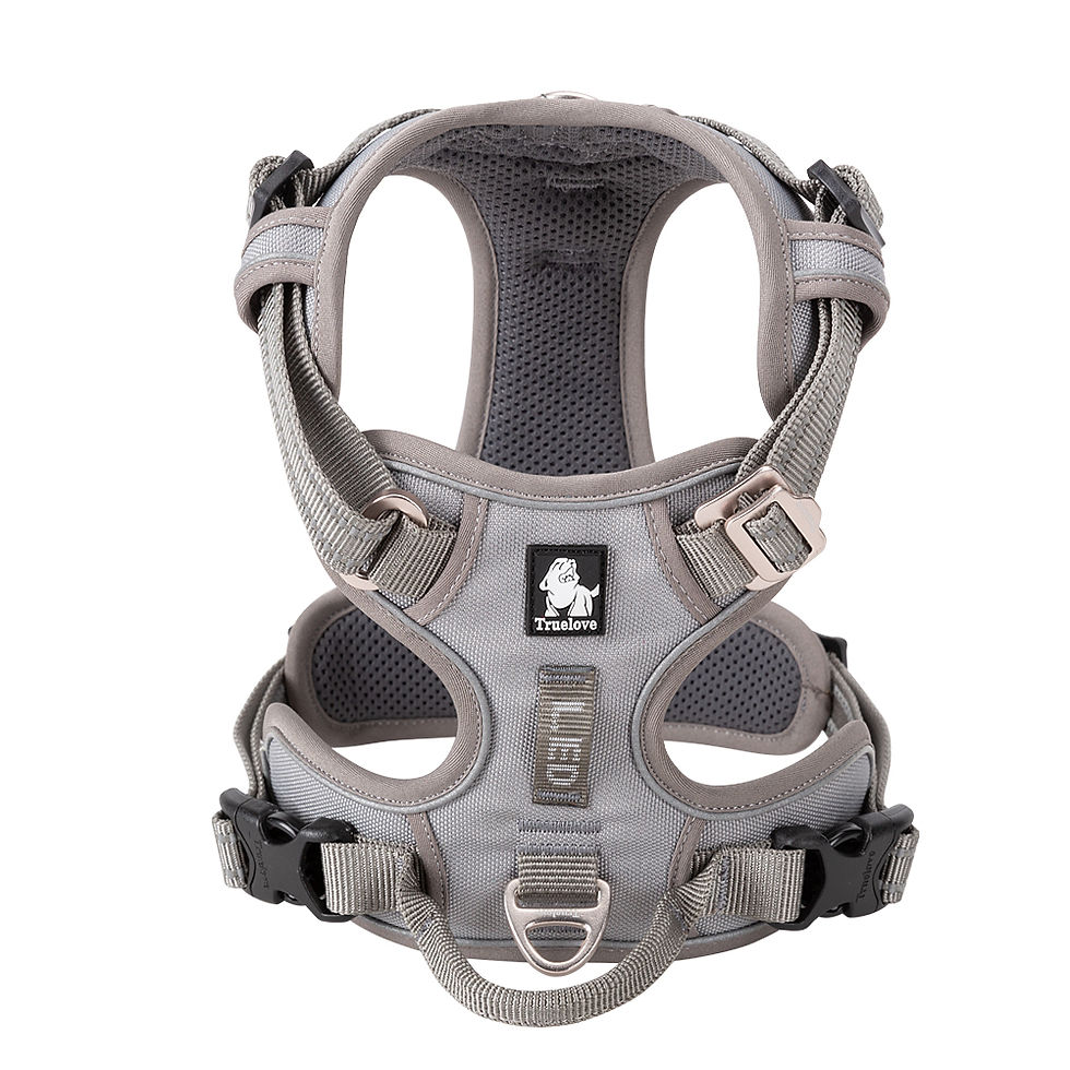 Thumbnail: Truelove Pet Harness Small Medium Large Split Dog Fashion Outdoor Dropshipping
