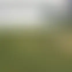 Unlock the Excitement: How to Stream Live Cricket on KaroStream