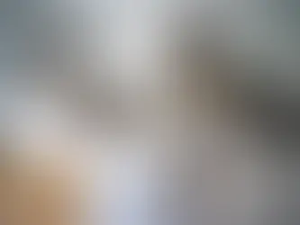 Comprehensive Guide to Moving Insurance: Everything You Need to Know