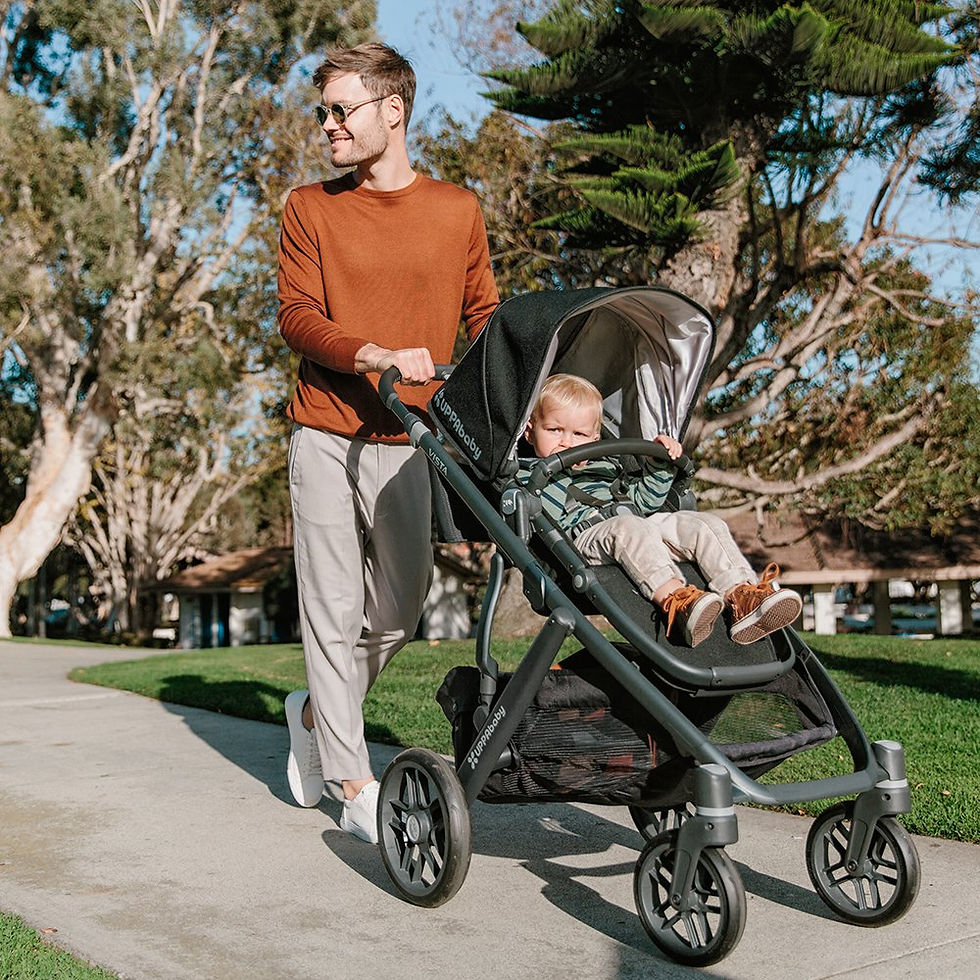 Thumbnail: 2018 UPPAbaby VISTA Stroller, Emmett (Green Melange/Silver/Saddle Leather)