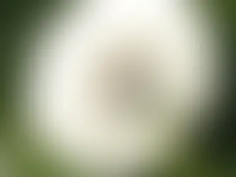 Unmasking Hay Fever: Key Symptoms You Shouldn’t Ignore