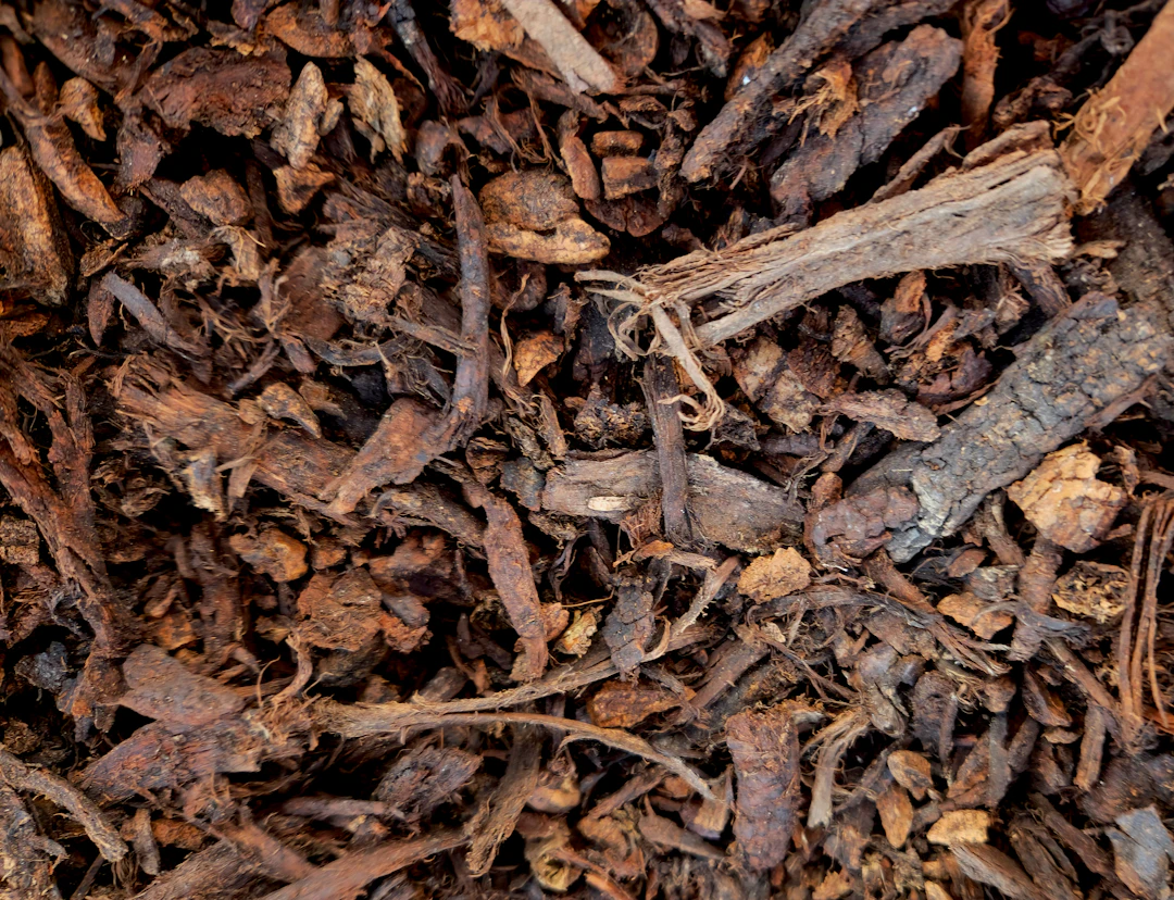The Benefits of Mulching for Lawn Care: Transform Your Lawn Today!