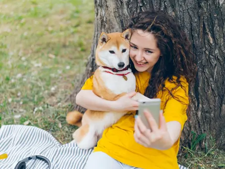 The Power of Social Media in Promoting Pet Charities