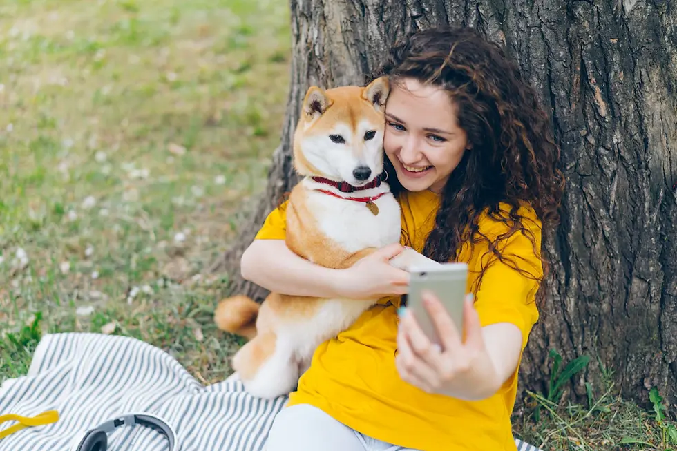 The Power of Social Media in Promoting Pet Charities