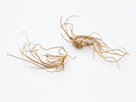 Unlocking New Horizons: Networking Opportunities for Hair Transplant Professionals