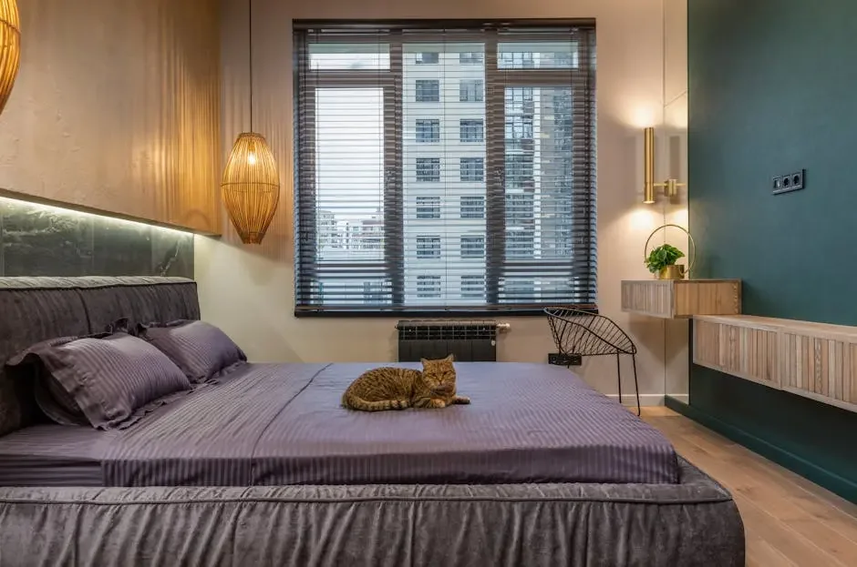 Photo inspiration: Gallery Detail: How Do San Antonio Luxury Apartments Accommodate Pets