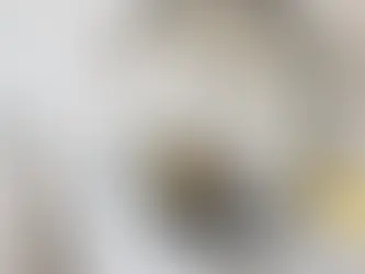 15 Cleaning & Co Hacks to Transform Your Bothell Home