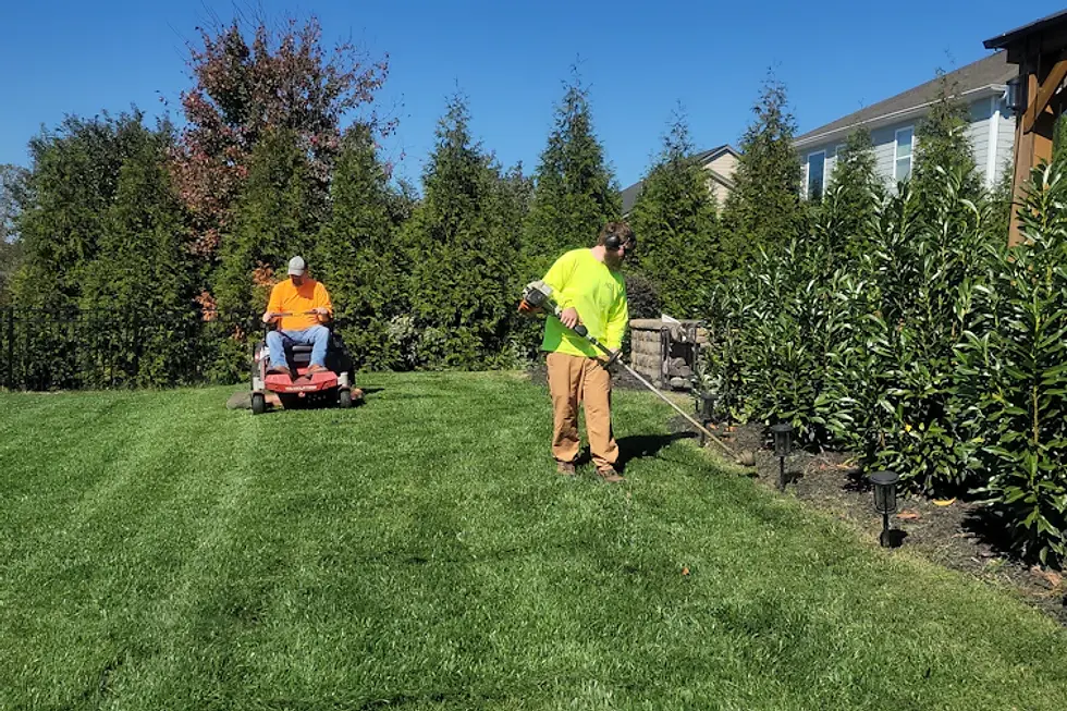 The Essential Guide to Regular Lawn Maintenance