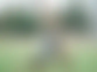 Lifestyle Factors Impacting Male Sexual Function: Unraveling the Connection