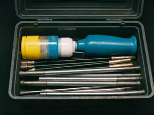 How to Keep Pests at Bay with an Exterminator in Brooklyn NY