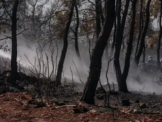 What is Fire Damage Assessment and Why is it Important?