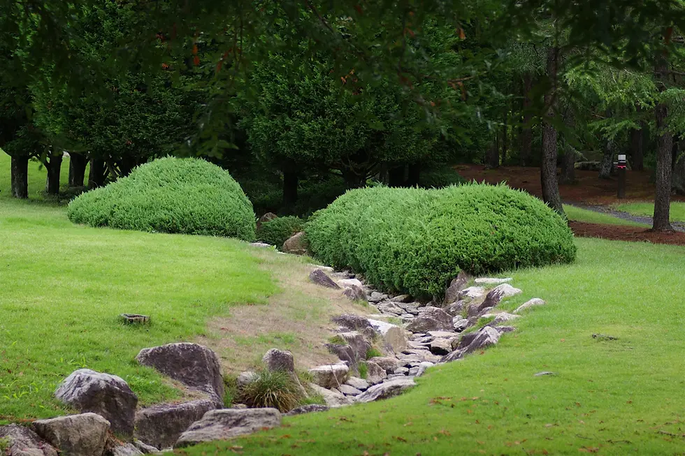 Explore the Beauty: Understanding Different Landscaping Styles