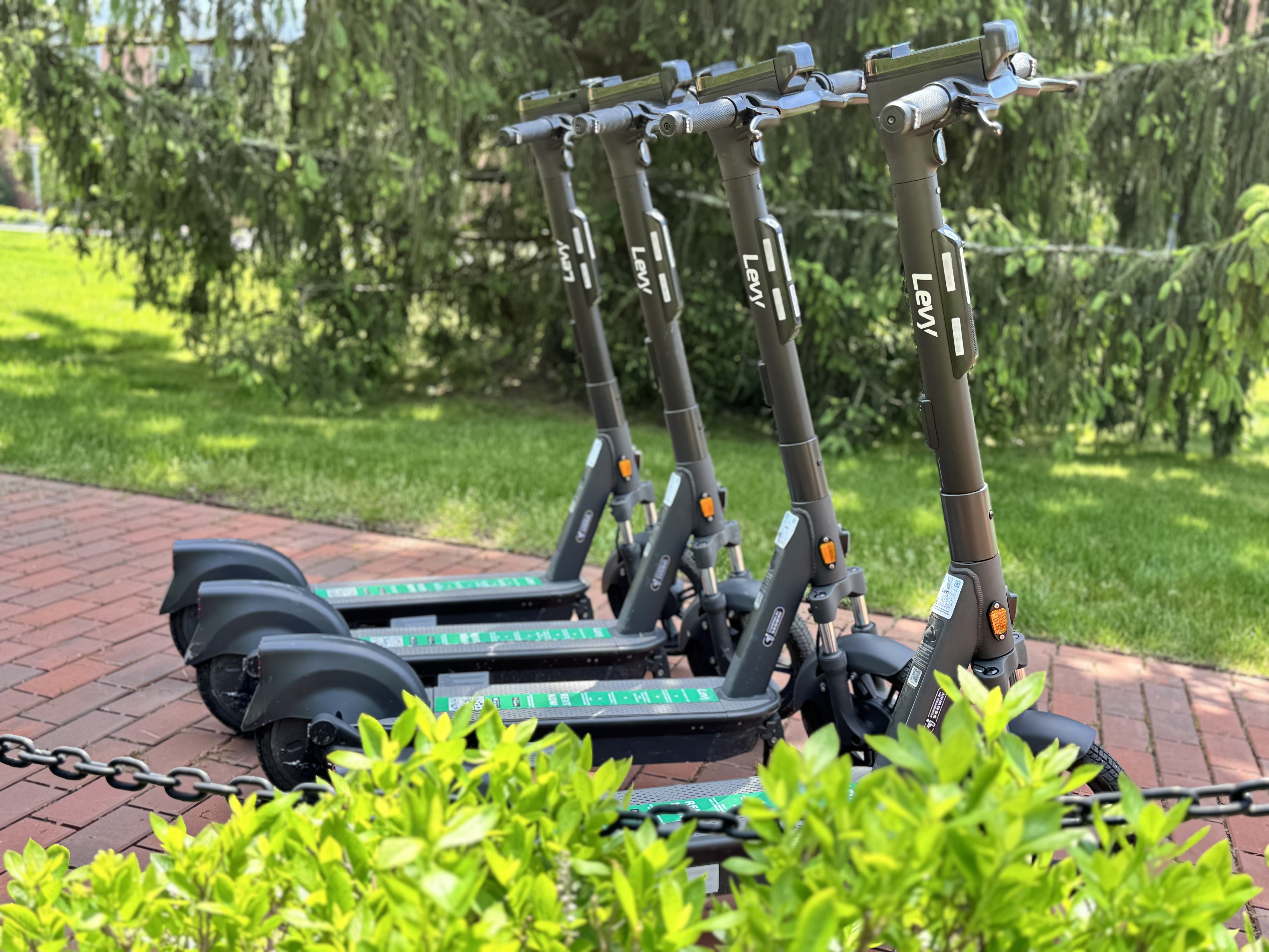 Electric scooter rentals are available on the Levy Electric app in UCONN STORRS starting at $23.4 per hour.  No reservation needed!