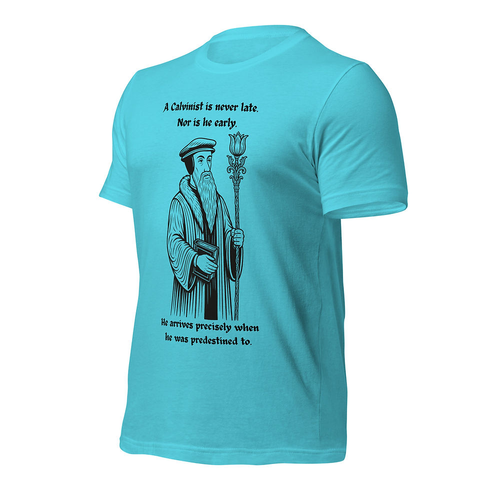 Thumbnail: Predestined Calvinist Wizard - Unisex t-shirt