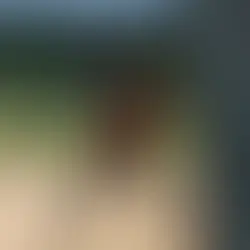 Live Cricket On-the-Go: How to Stream Cricket on Mobile Devices Using KaroStream