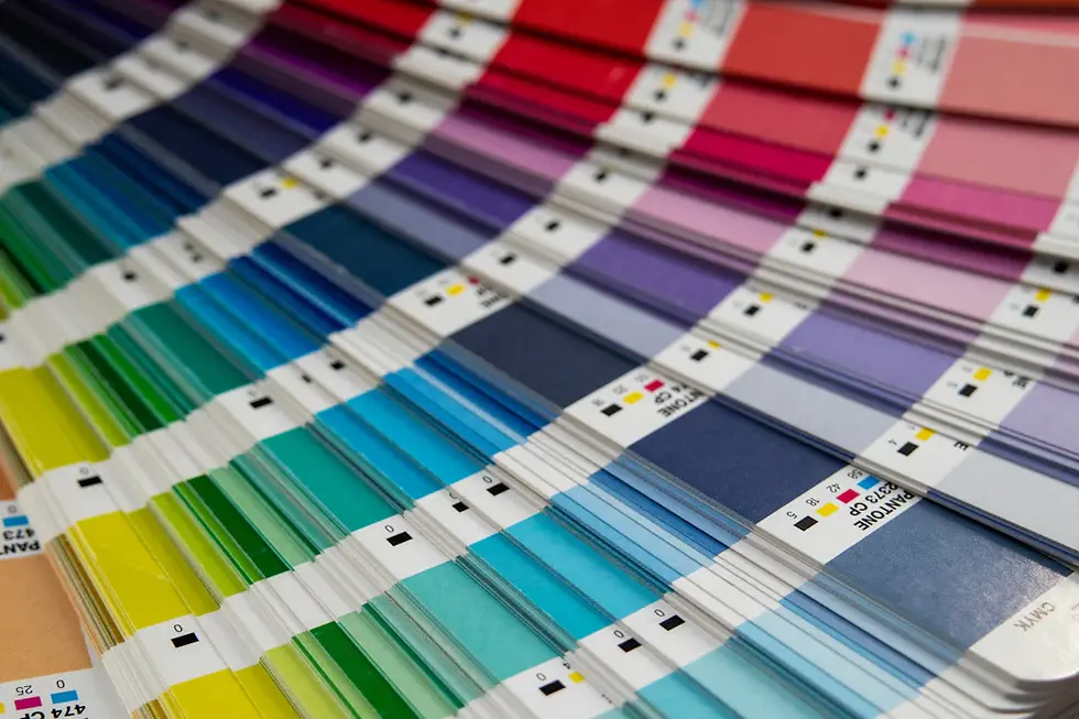 Elevate Your Brand with Unique Color Palettes: A Comprehensive Guide