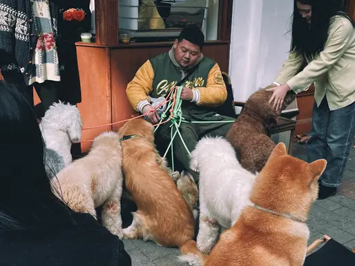 Engaging Your Community: Hosting Workshops for Pet Owners to Raise Charity Funds