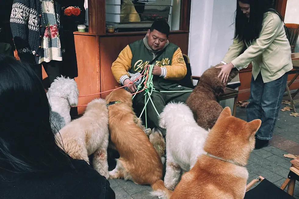 Engaging Your Community: Hosting Workshops for Pet Owners to Raise Charity Funds