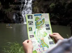 Beyond the Luau: Exploring Waimea Valley's Natural Wonders