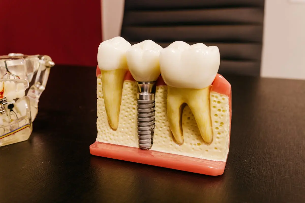Rams Dental World