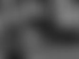 Unleashing the Exercise Needs of Your Beloved Cavalier King Charles Spaniel