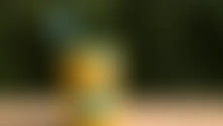 12 Fun Ways to Encourage Better Brushing Habits for Kids