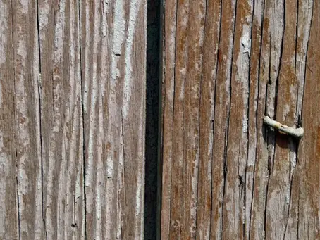 8 Types of Fencing Materials Explained by Your Local Fence Company