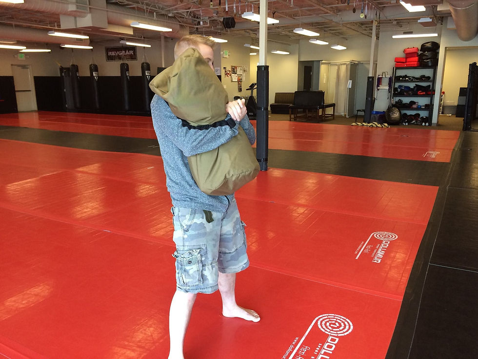 Thumbnail: Brute Force Sandbags - BareBone 200 - Spartan - Fireman Deadbody sandbag Bear...