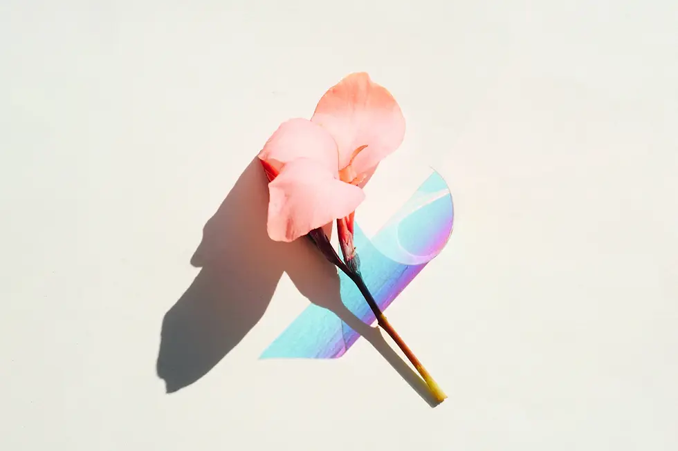 Les Tendances de l'Album Concept : Un Voyage Musical Inoubliable