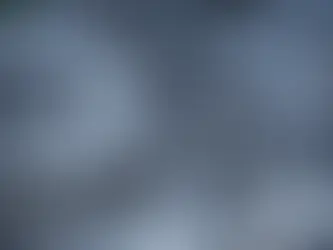 Can Charcoal Affect the Taste of Food?