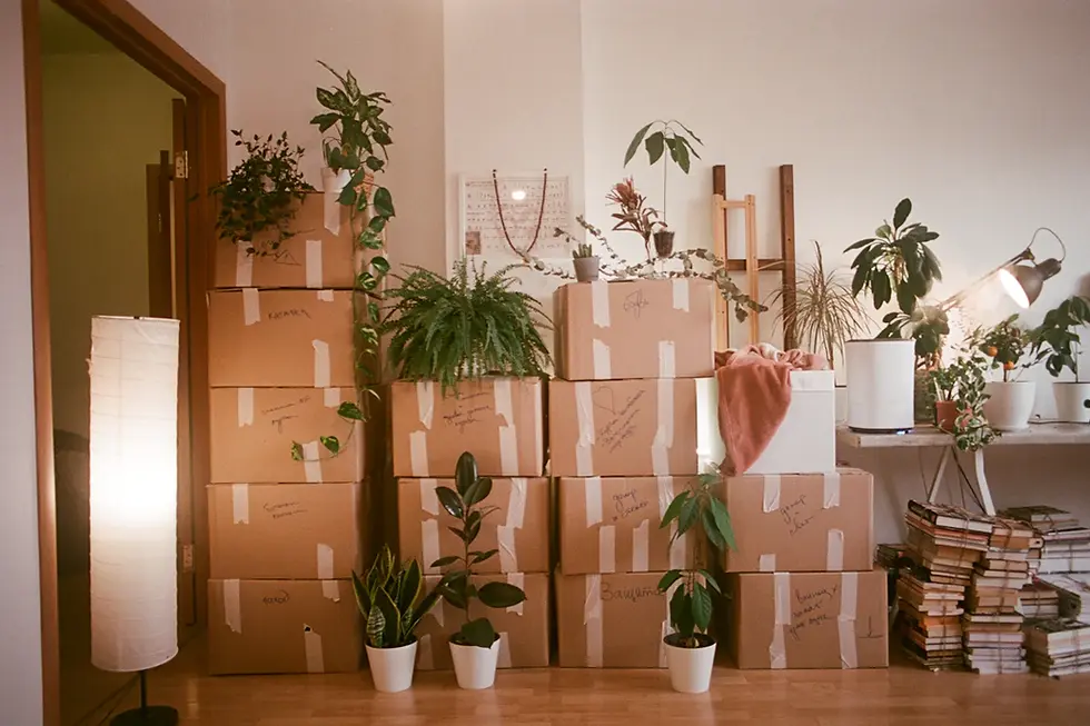 Packing Tips for a Stress-Free Move: Your Ultimate Guide