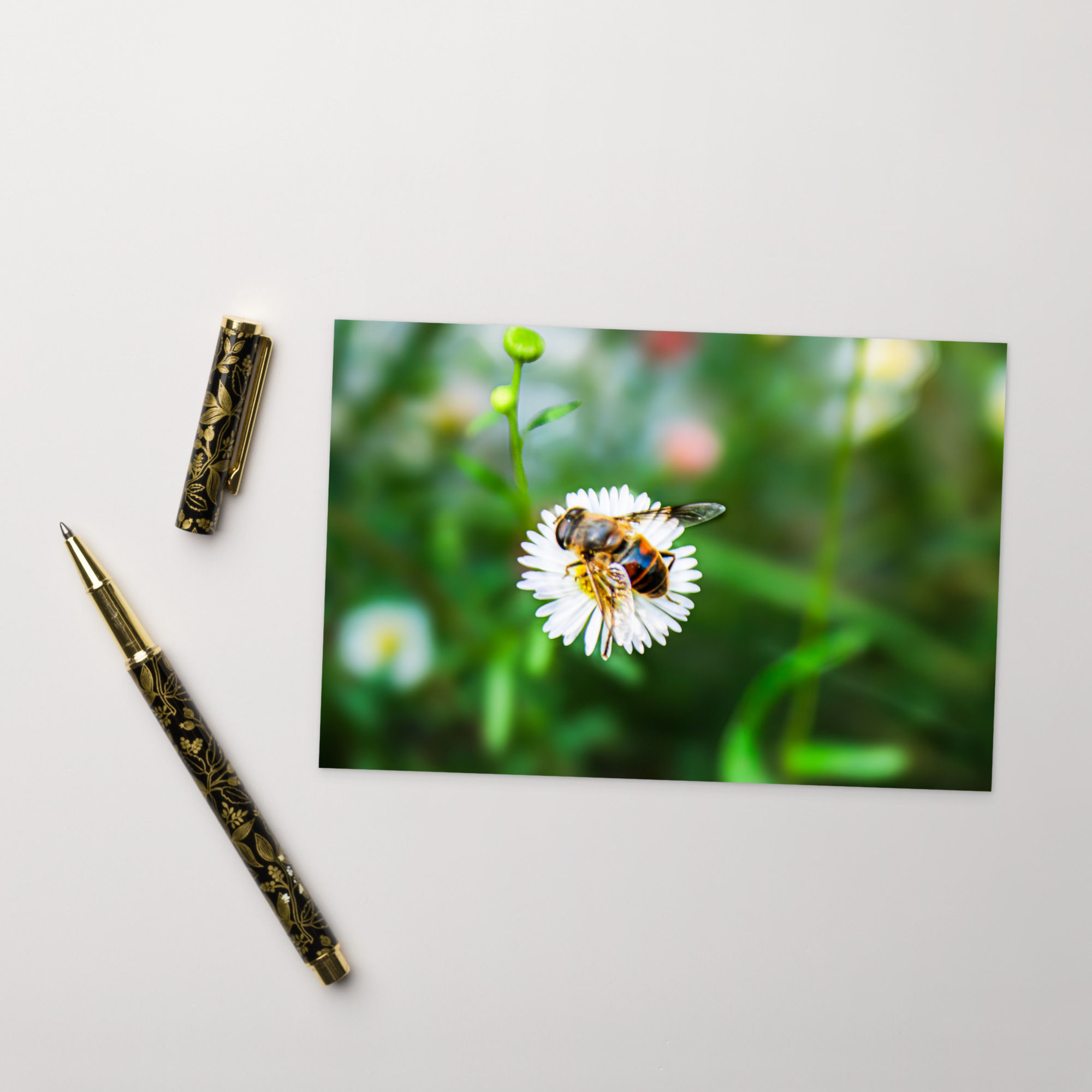 Beautiful Bee Postcard