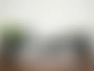 12 Reasons Why Commercial Cleaners Are Essential for a Healthy Office