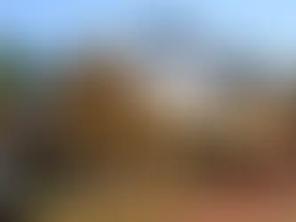 What Are the Key Regulations for Building an Accessory Dwelling Unit?