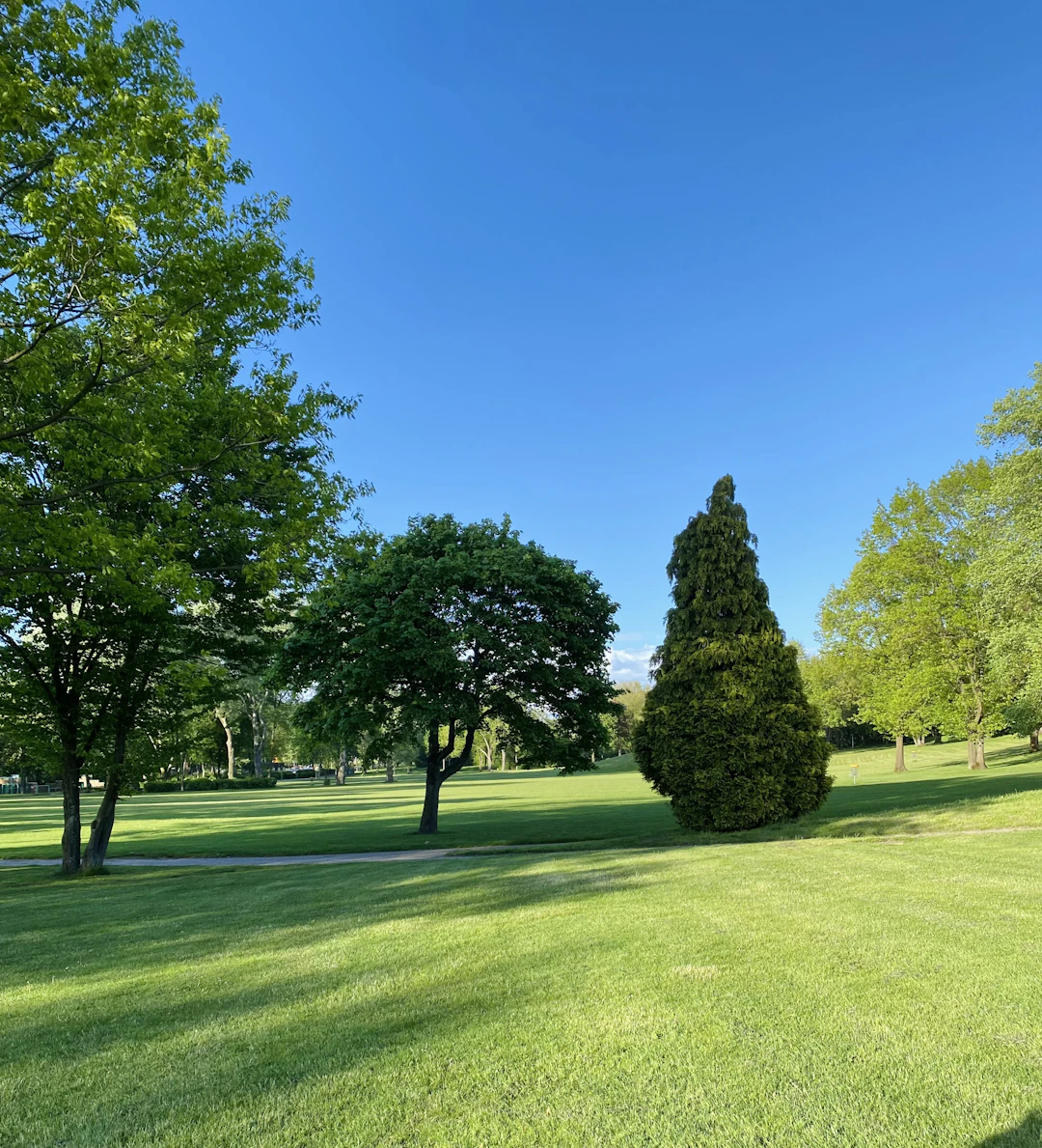 The Essential Role of Lawn Care in Ecosystem Health