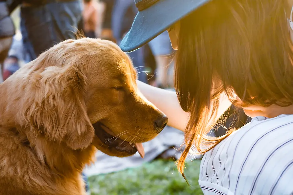Unlocking the Healing Power of Pets: Exploring Pet Therapy Benefits