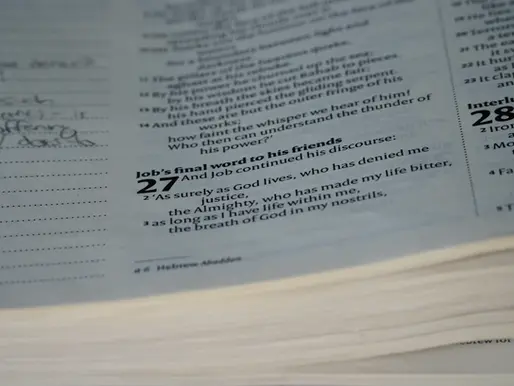 Understanding Document Translation vs. Legalization: What You Need to Know