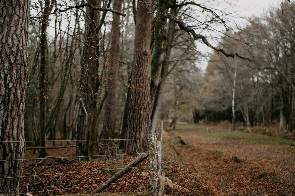 Setting Boundaries: Protecting Your New Path
