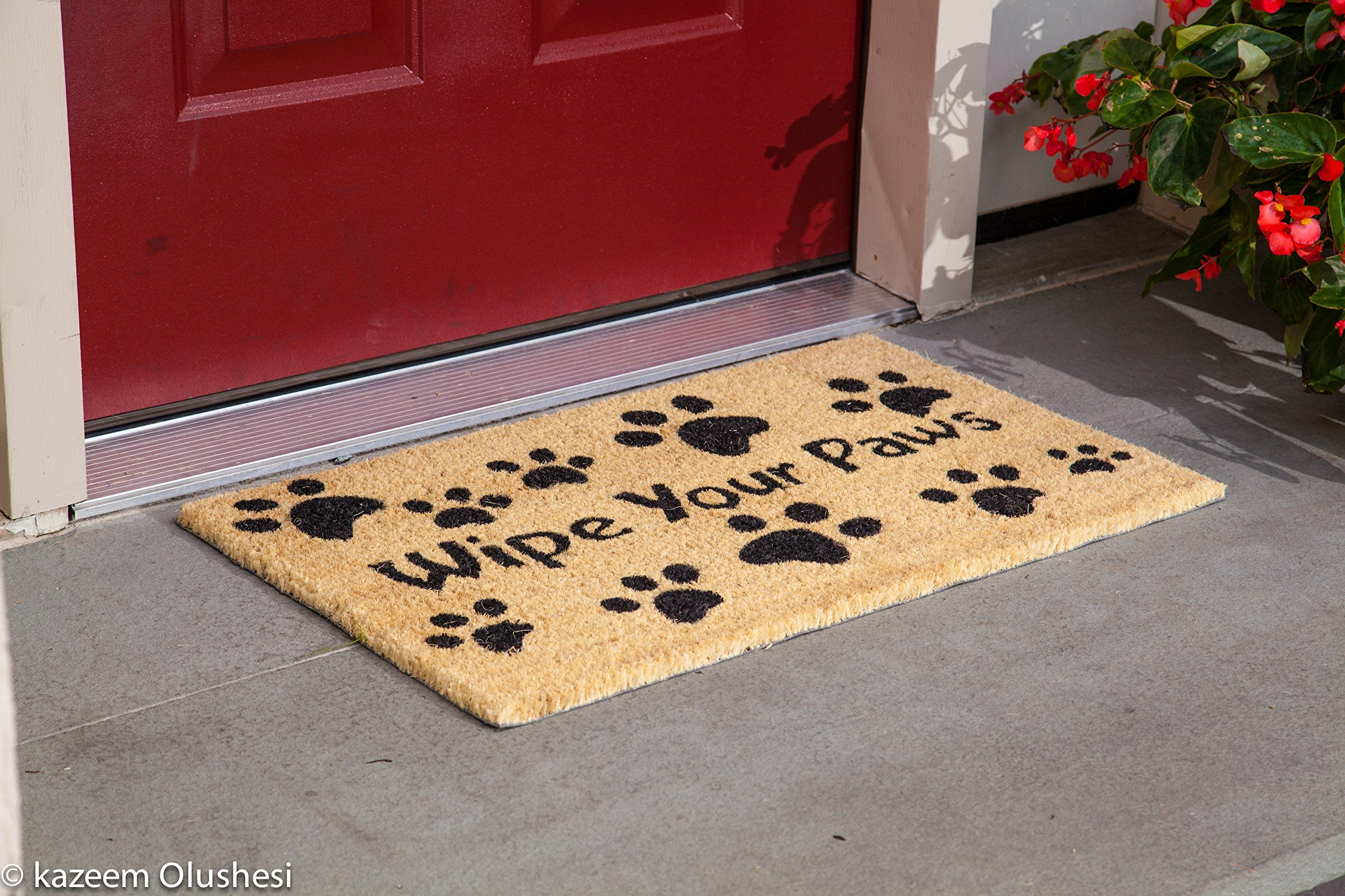 Kempf Wipe Your Paws Doormat 18" x 30"