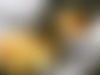 ¿Cómo puedo incorporar platos vegetarianos persas en mi dieta diaria?