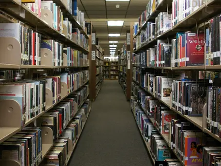 The Future of Bookstores in the Digital Age: A New Chapter Awaits