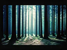10 Powerful Practices for Psychic Protection and Energy Balance