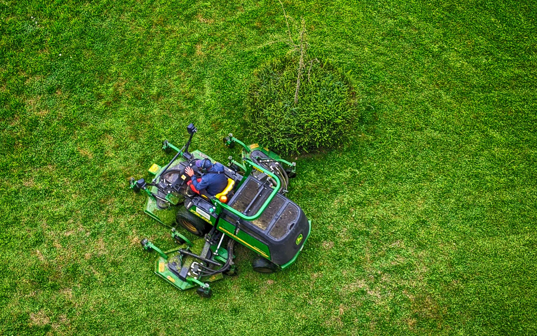 The Secret to a Lush Lawn: The Benefits of Hiring Professional Lawn Services